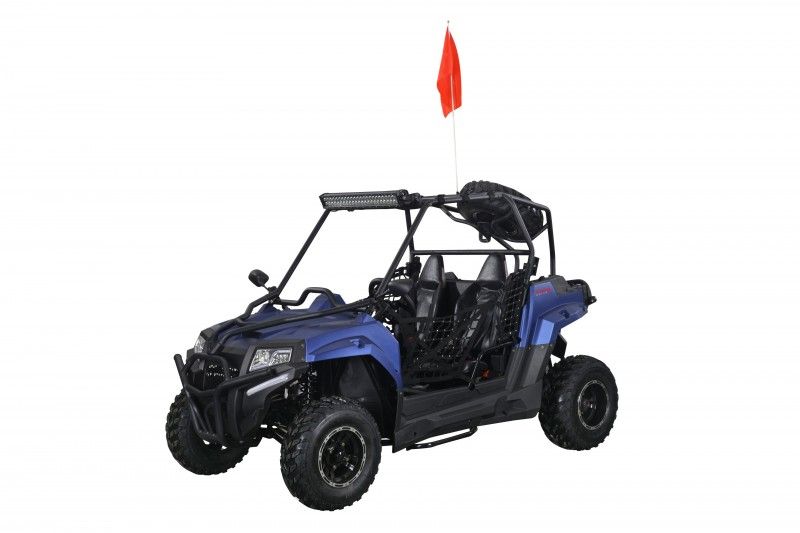 200cc DF Full Adult Gas UTV Go-Kart Side By Side With Auto Tranny W/ Reverse